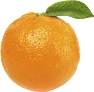 47_orange_PNG789