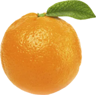 47_orange_PNG789 47_orange_PNG789