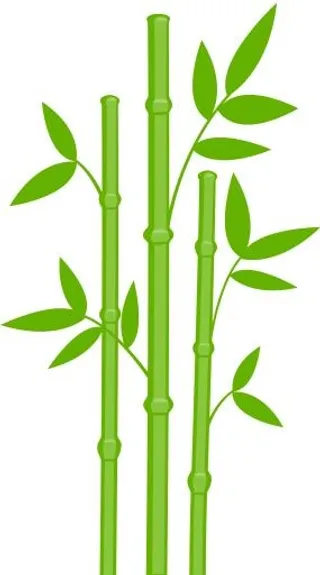 竹子 PNG免抠