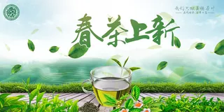 春茶上市茶叶背景