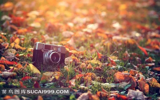 唯美照相机素材图片