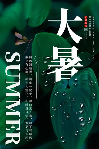 二十四节气大暑海报