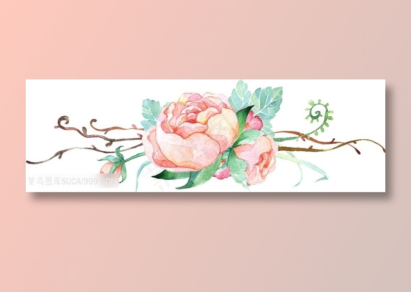 手绘美丽花卉图片