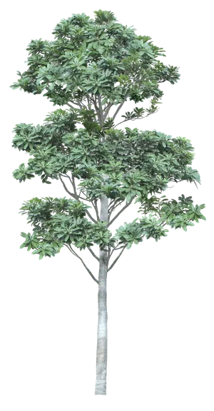 高清树木素材 免抠PSD植物素材 美术绘画园林贴图 树草灌木花草 高清树木素材 免抠PSD植物素材 美术绘画园林贴图 树草灌木花草
