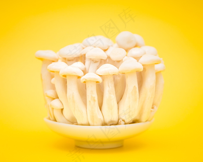 白玉菇黄色背景图片
