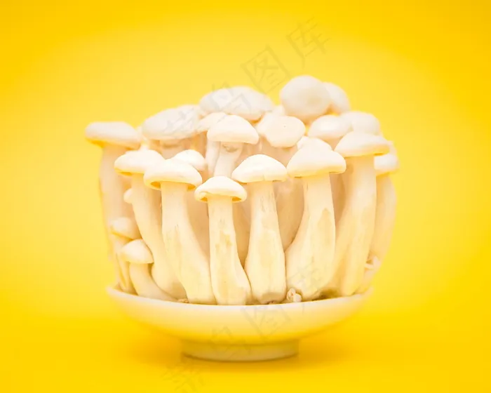 白玉菇黄色背景图片