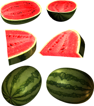 西瓜实物图免抠