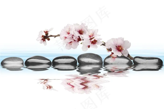 美丽的花朵与鹅卵石图