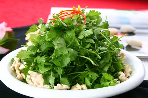 L00937三叶香桃仁91