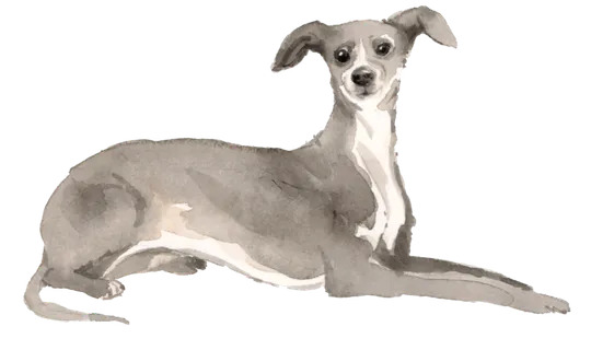 狗狗水彩画插画免扣素材可爱宠物狗