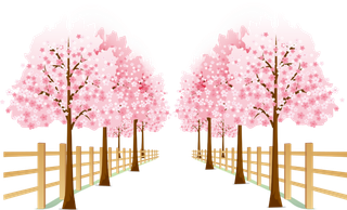 免扣春天浪漫樱花