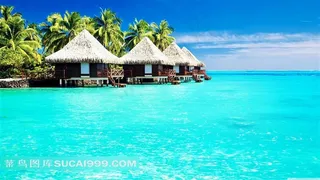 海滩上的热带平房草屋