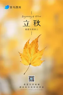 立秋秋天落叶黄色温馨节气海报