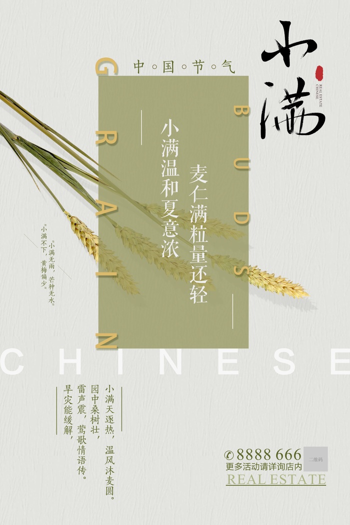 小满 小满宣传海报psd模版下载