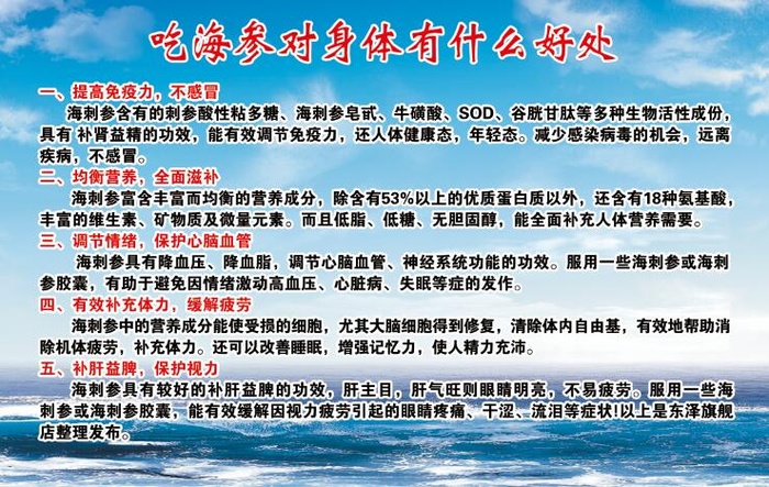 海参 海参对身体好处psd模版下载