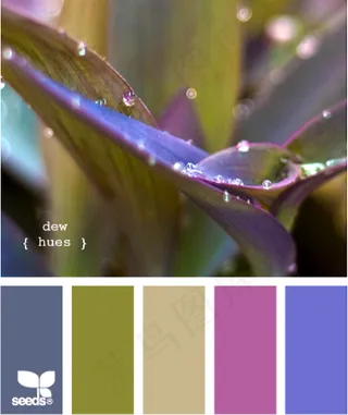 动物配色色卡色彩搭配