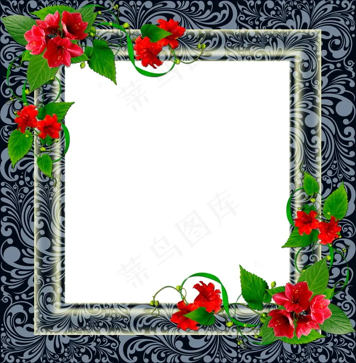 艺术花边相框图片