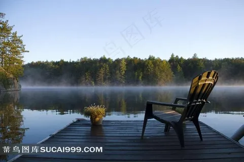 树林与水面上升腾起的雾气