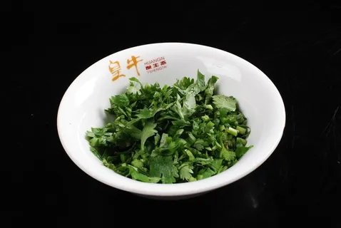 调味料火锅配料美食调味品辣椒酱葱姜蒜