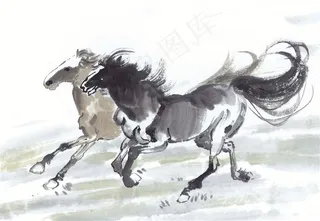 生肖动物大图jpg素材