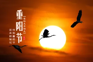 九九重阳节图片海报