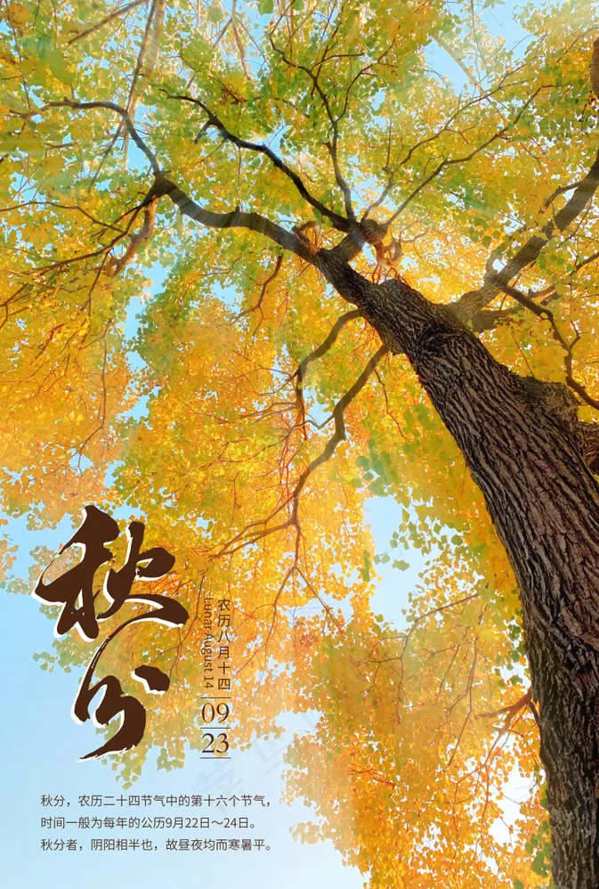 节气-秋分psd模版下载