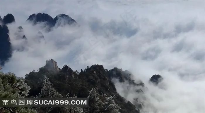 安徽黄山云海风景美图