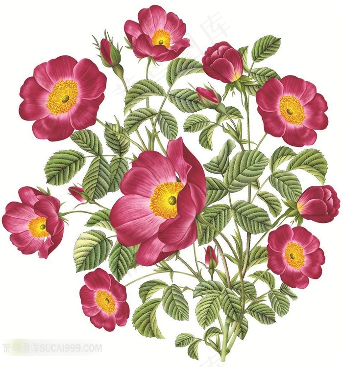 花卉艺术设计图片