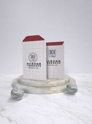 包装智能贴图样机VI效果PSD素材