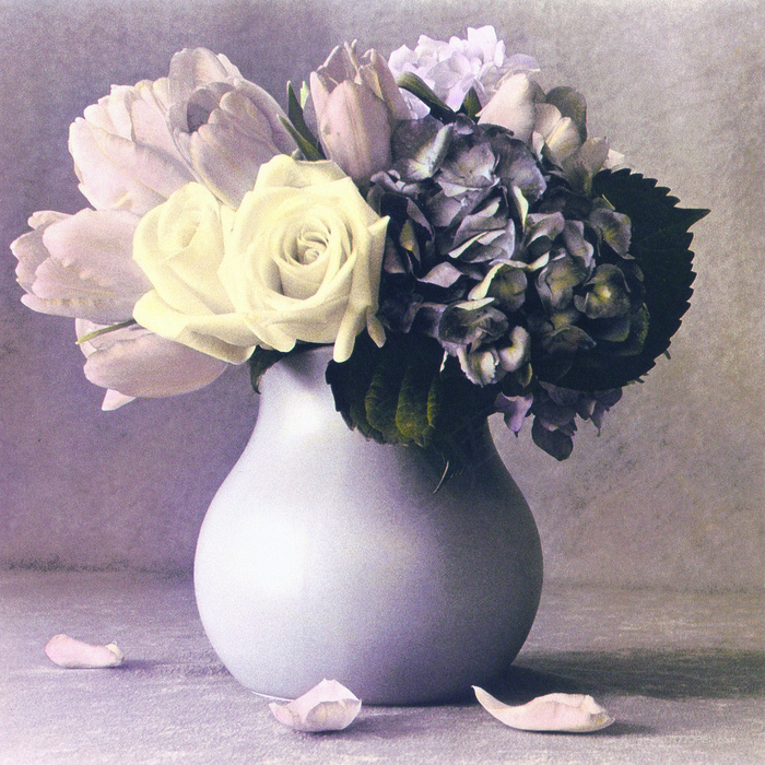 唯美花卉花瓶时尚艺术油画