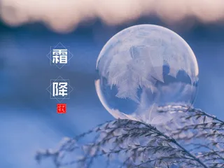 霜降节气图片