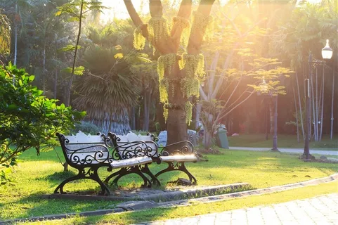 美丽的公园景色图片