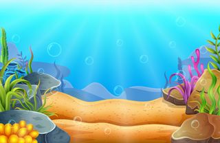 丰富卡通海底