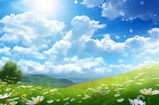 蓝天白云菊花背景