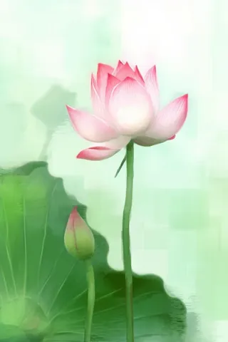 国风荷花水墨节气背景