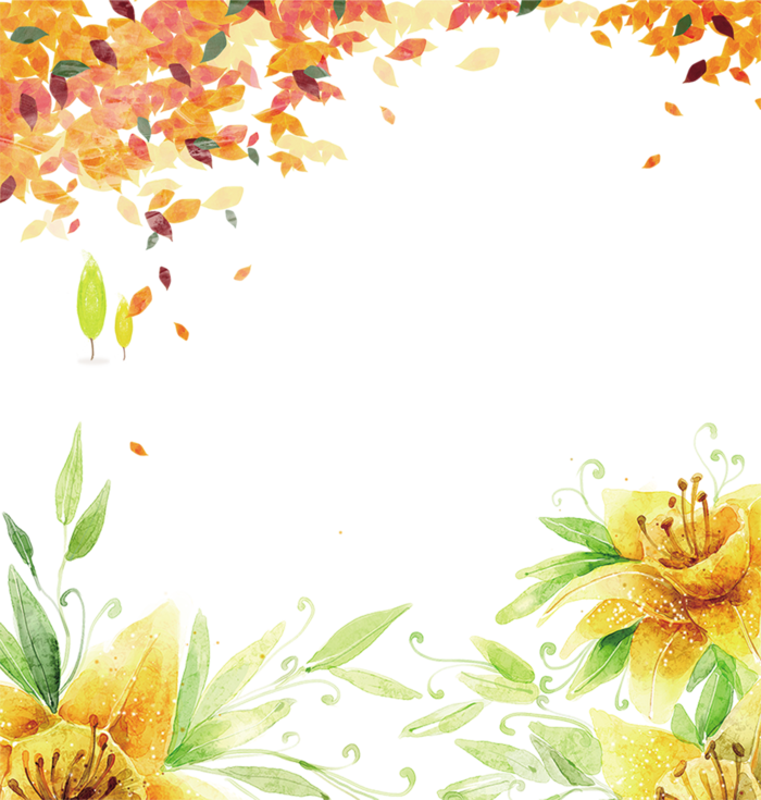落叶与黄花