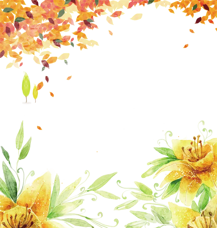落叶与黄花