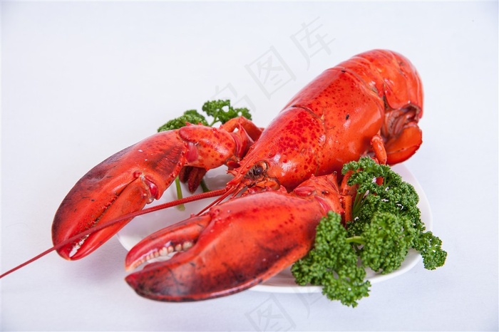 美味的大龙虾