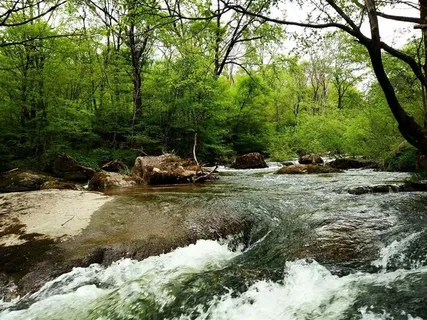 山林间奔流的溪水