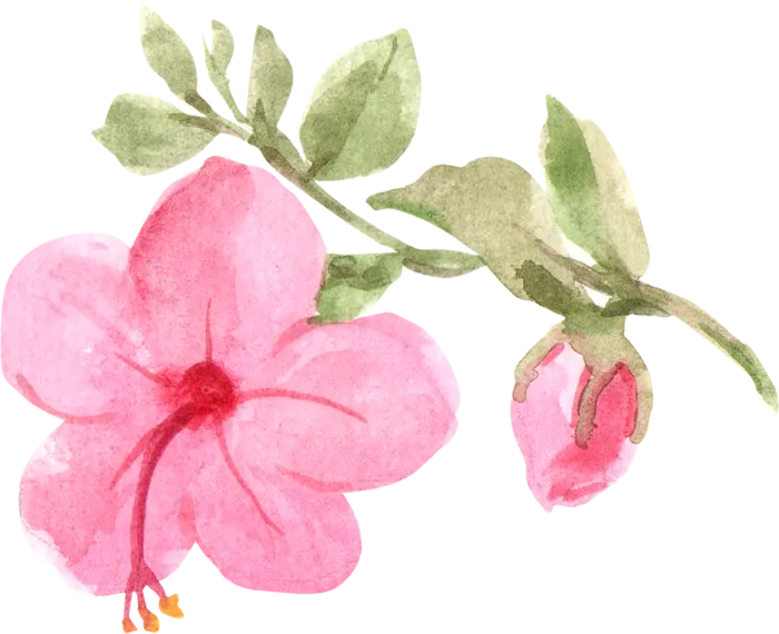 插画免抠高清素材