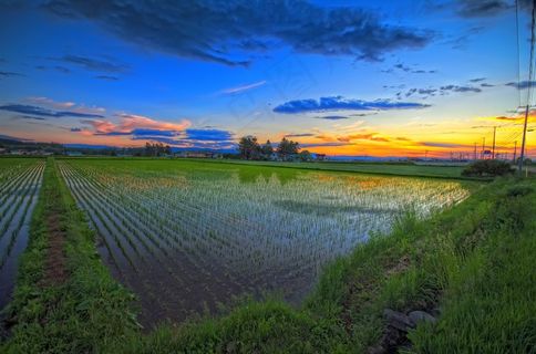 田野天空风景图片下载