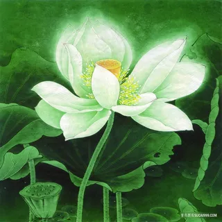 唯美荷花高清画