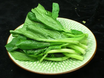 广东菜心   广东菜心