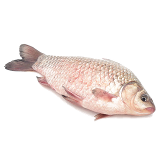 鲫鱼海鲜超市商品红酒白底图免抠实物摄影png格式图片透明底