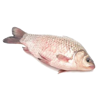 鲫鱼海鲜超市商品红酒白底图免抠实物摄影png格式图片透明底