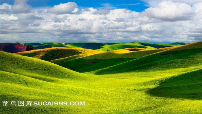 草原风光风景图片