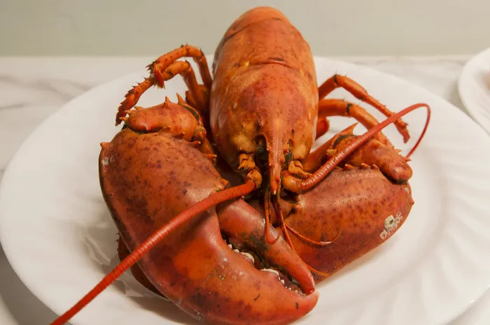 高清龙虾小龙虾美食