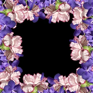 紫色花朵组成的像框 紫色花朵组成的像框