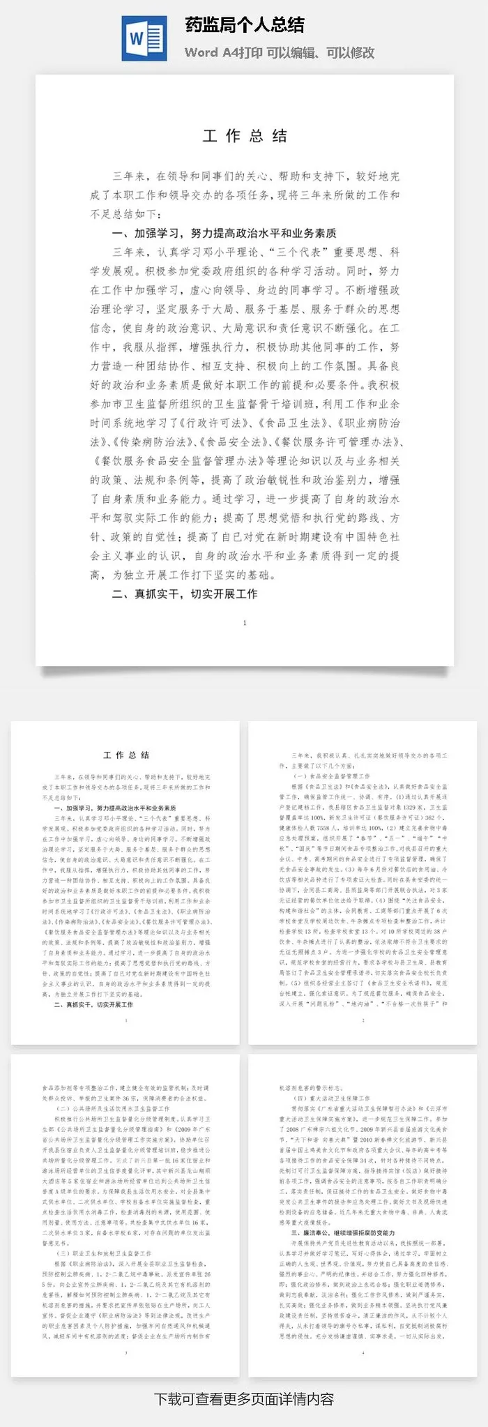 药监局个人总结word模板