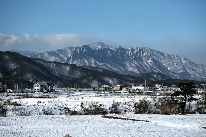 冬天白雪背景风景